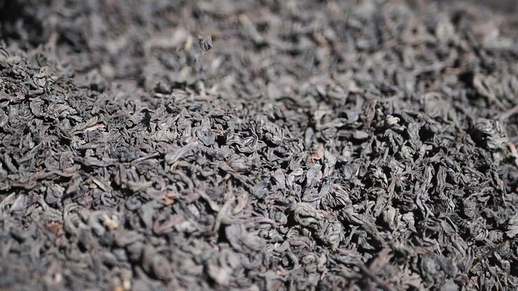 Close-up of Dried Black Tea Leaves