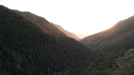 Vista-Aérea-De-Densas-Crestas-Forestales-En-El-Cañón-Millcreek-Durante-La-Puesta-De-Sol-En-Salt-Lake-City,-Utah