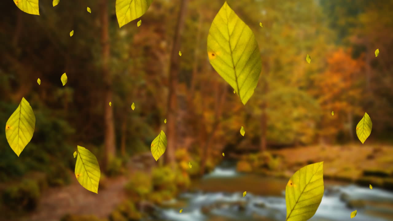 animación de hojas que caen sobre el paisaje forestal de otoño