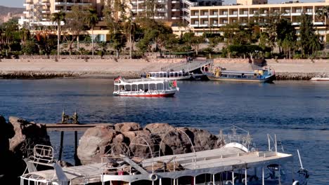 Traditional-boat-crusing-through-the-Nile-river-with-building-in-the-bacground-and-rocks-in-the-foreground-on-the-Nile-river,-Aswan,-Egypt