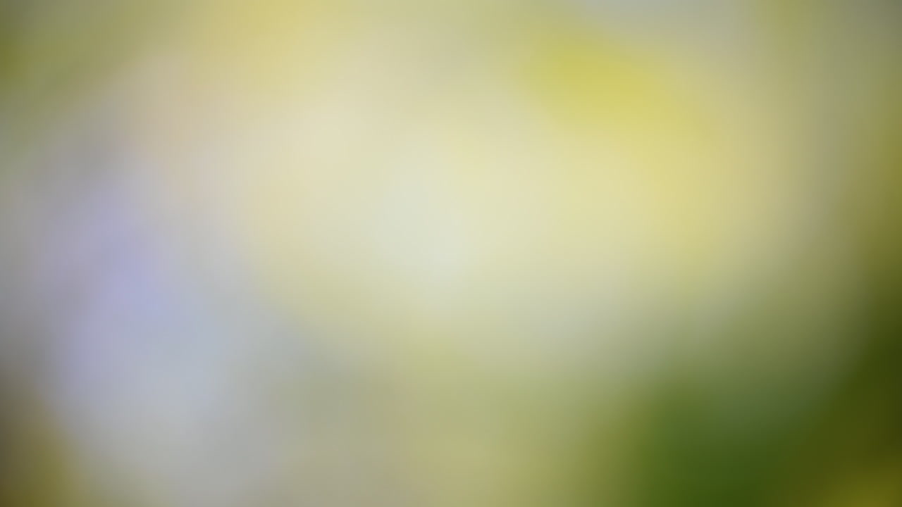 Abstract blurred background with soft yellow and green hues