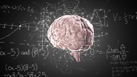 animation of network of connections over spinning human brain icon and mathematical equations