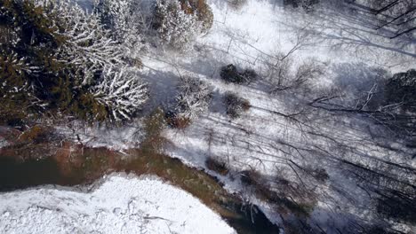 paisaje de invierno nevado en un día soleado con río que fluye y árboles cubiertos de nieve de arriba hacia abajo