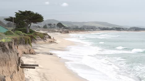 Playa-De-Arena,-árboles,-Naturaleza-Y-Montañas-En-California