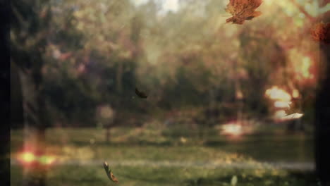 animation of autumn leaves falling in park, creating serene landscape