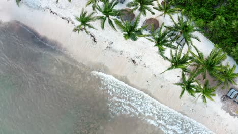 Spinning-aerial-bird's-eye-drone-view-of-a-beautiful-tropical-vacation-beach-with-crystal-clear-blue-water,-white-sand,-and-palm-trees-at-a-resort-in-Riviera-Maya,-Mexico-near-Cancun-on-a-summer-day