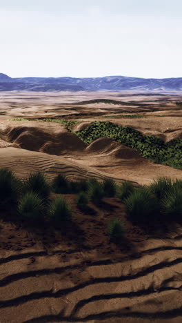 a scenic view of a desert landscape with sand dunes, grass, and mountains in the distance