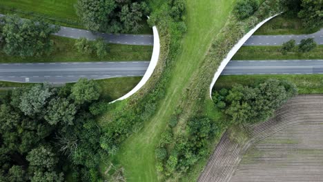 top down aerial reveal of a large wildlife crossing forming a safe natural corridor bridge for animals to migrate between conservancy areas