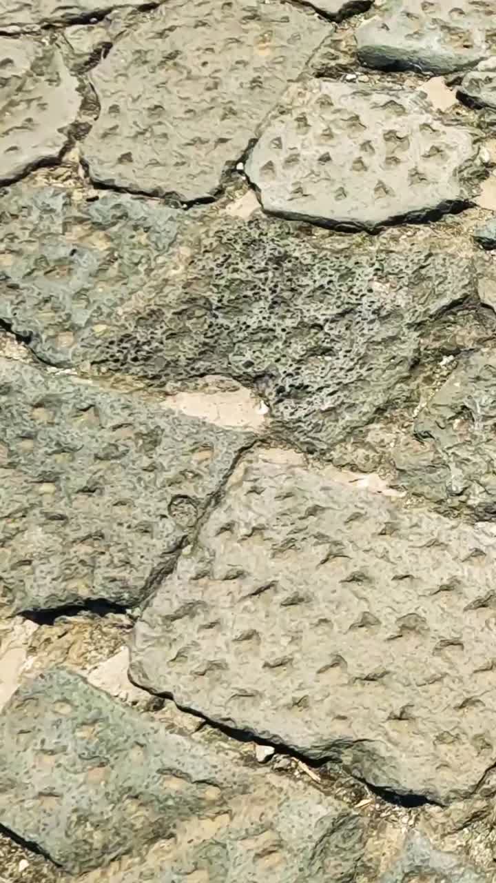 텍스처 된 돌 포장 의 상세 한 시각