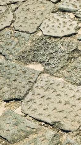 detailed view of textured stone pavement