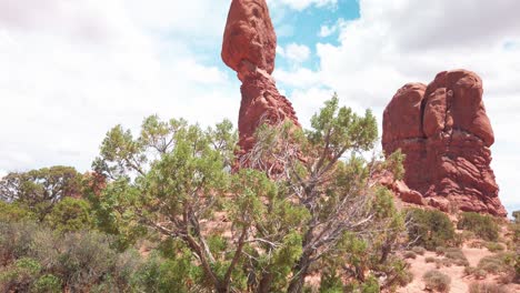 tilting up shot from desert shrub in the foreground to balance rock in the background, arches national park in utah