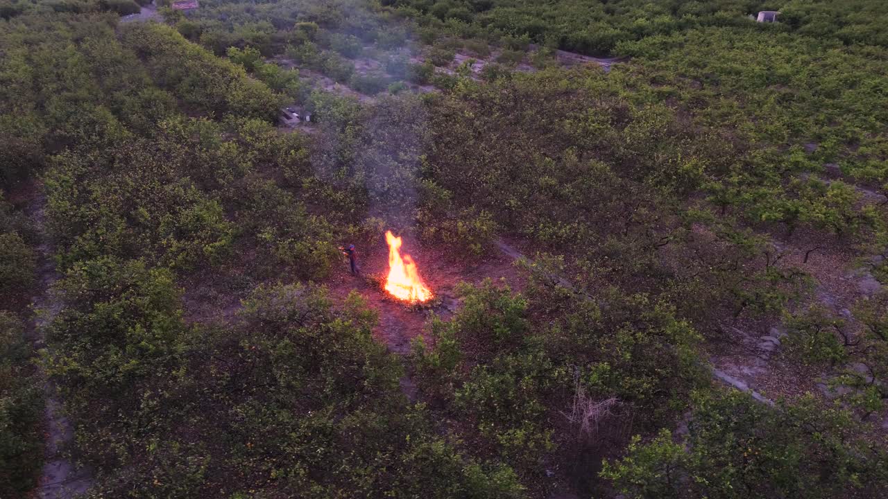 incendio en el campo de agricultura de limón