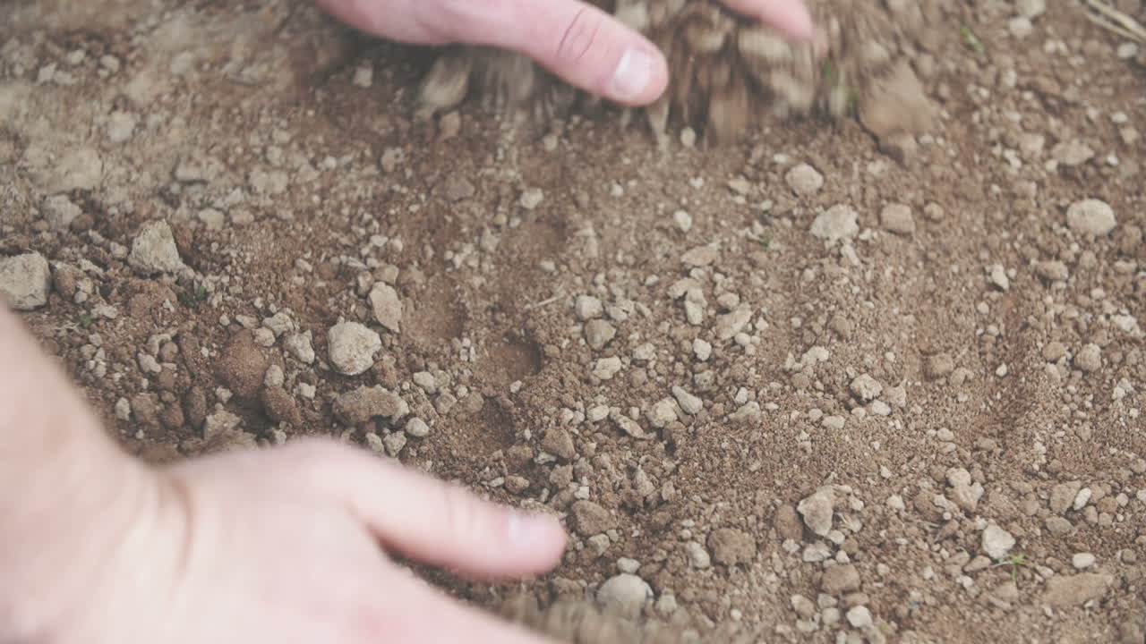 joven agricultor examinando el suelo en las manos