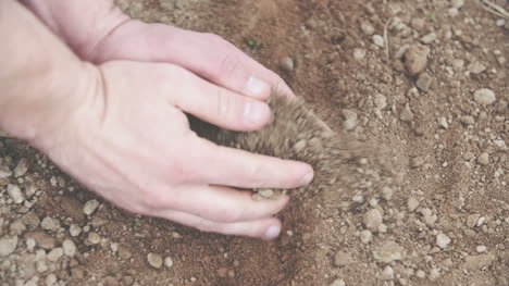 Joven-Agricultor-Examinando-El-Suelo-En-Manos