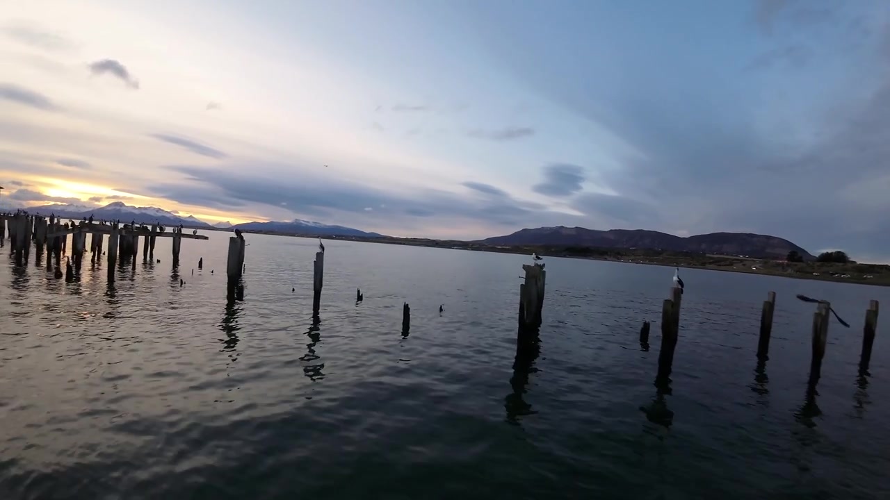 I pali consumati dal tempo dello storico Muelle Braun y Blanchard emergono dall'acqua calma sotto un cielo dorato al tramonto a Puerto Natales, Cile