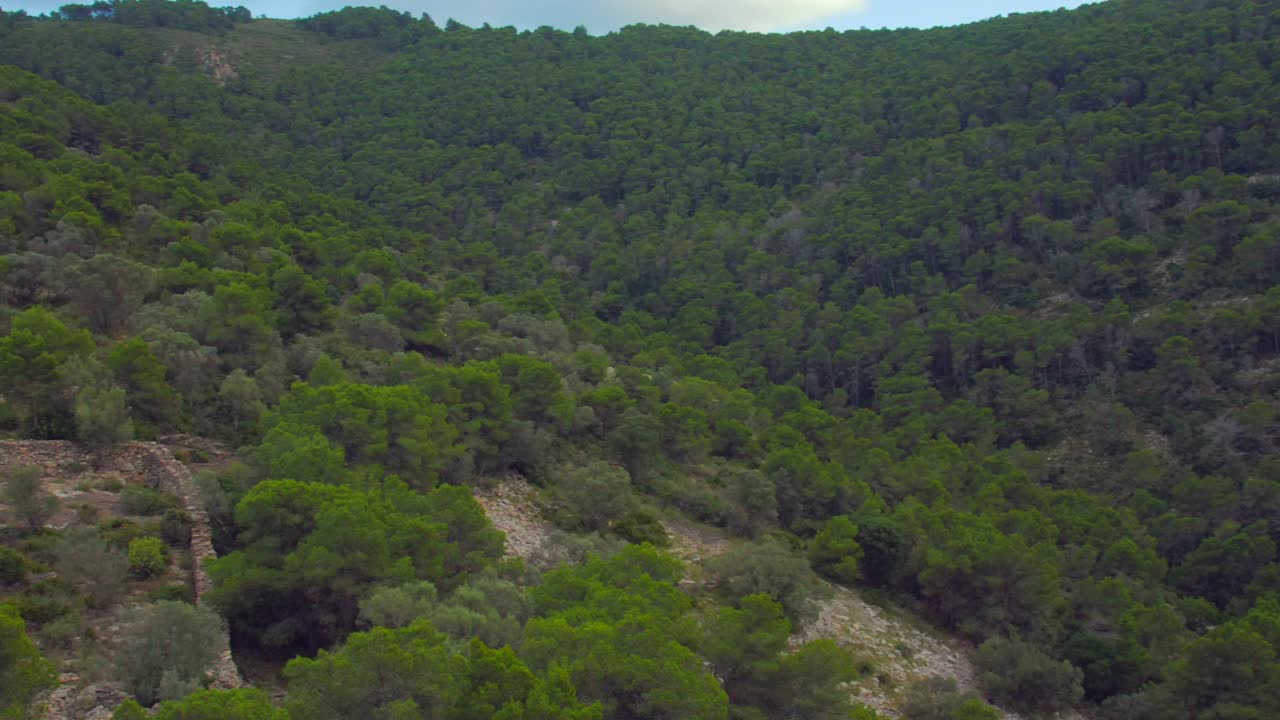 Panoramica pittoresca di un sentiero escursionistico nella pineta su terreno collinare in una giornata nuvolosa