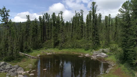 Belleza-Del-Lago-Del-Bosque-3