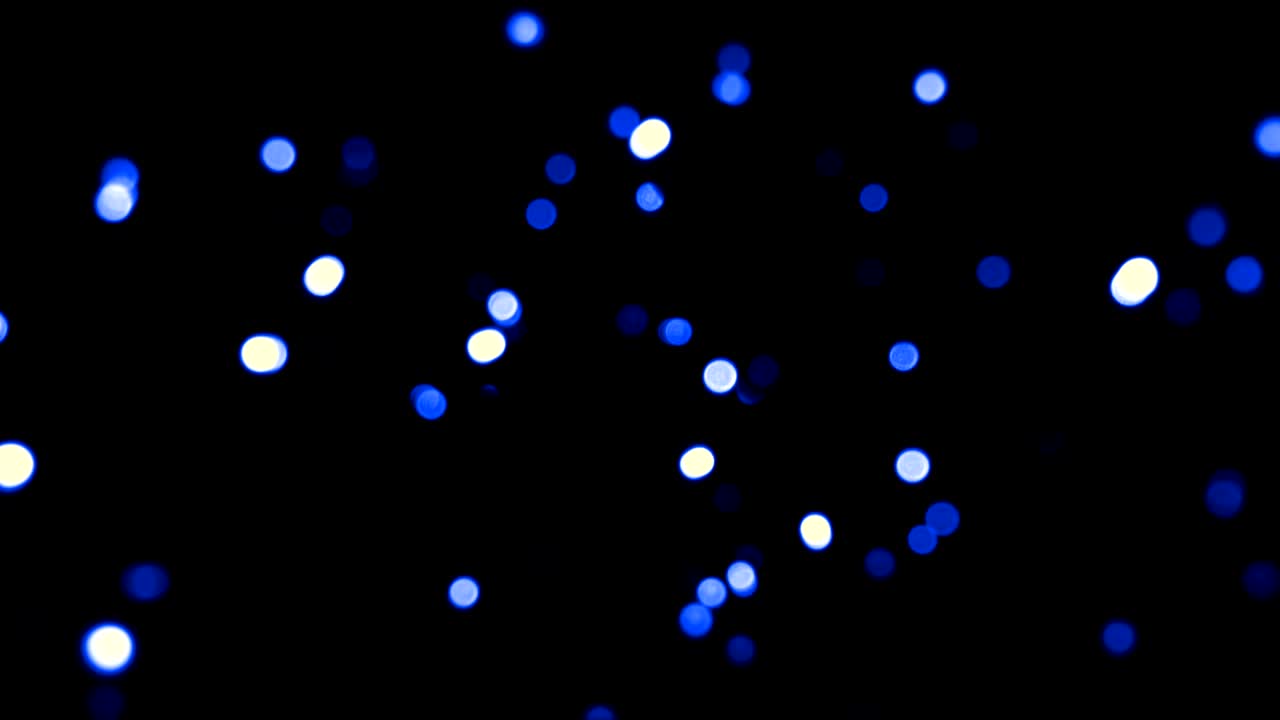 크리스마스 라이트 루프