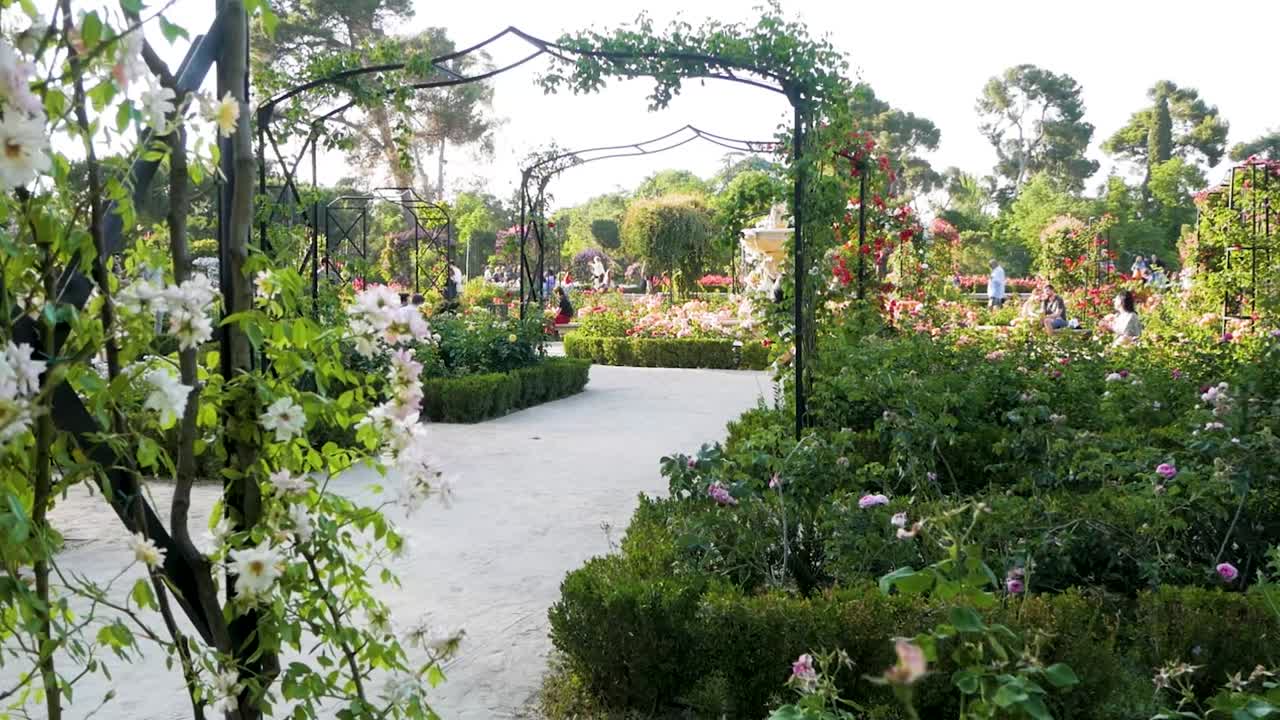 Slow zooming in a flower park in the city. Beautiful urban garden scene with blooming flowers.