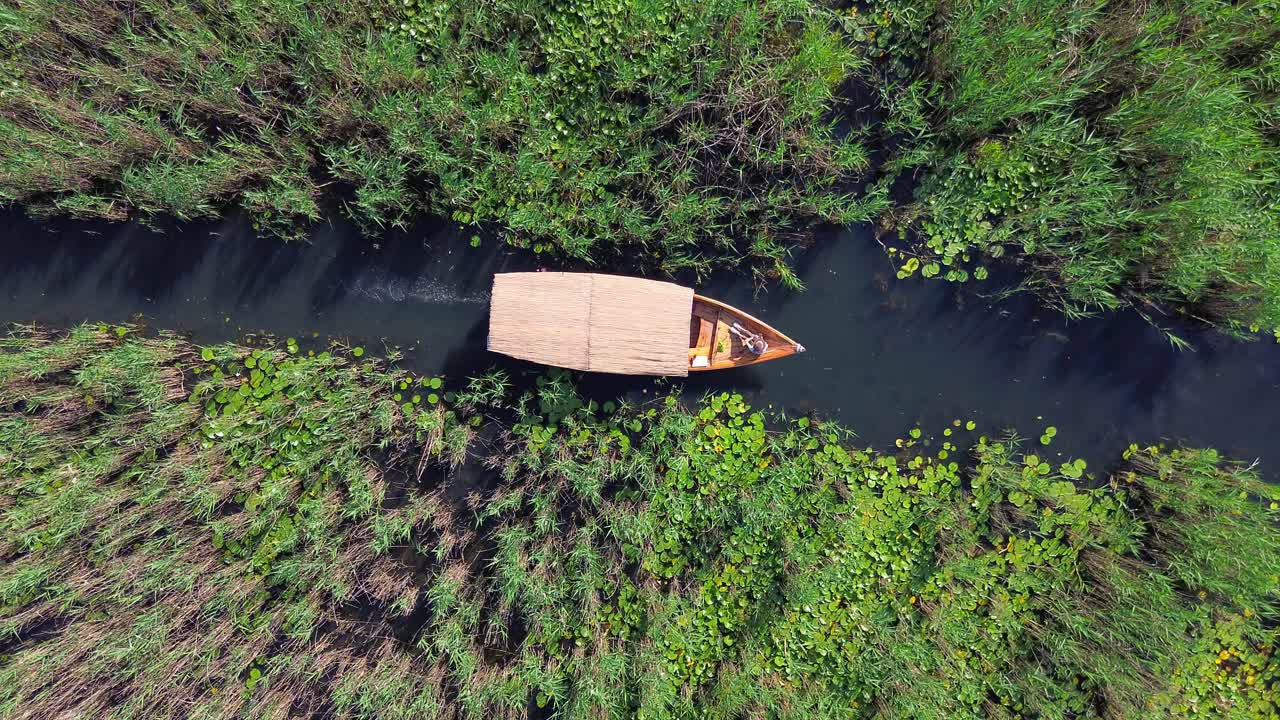 Aerial of a wooden boat traveling along narrow channels through marsh willows, aquatic vegetation, Lake Skadar