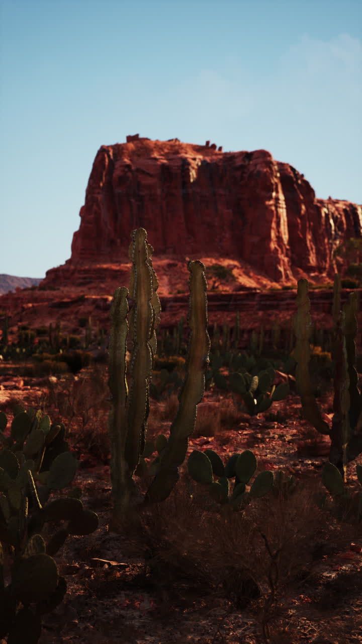una hermosa escena del desierto con cactus y una montaña de roca roja en el fondo