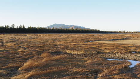 aerial flyover dried grass landscape in coconino national forest and san francisco peak in background during hot sunny day