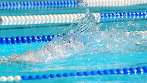 nadador masculino nadando dentro de la piscina 4k