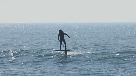 sunny day adventure: man gliding on jet surfboard, riding waves with the company of birds on a serene coastal scene