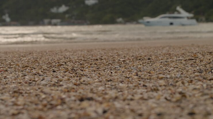 Waves lapping the shore