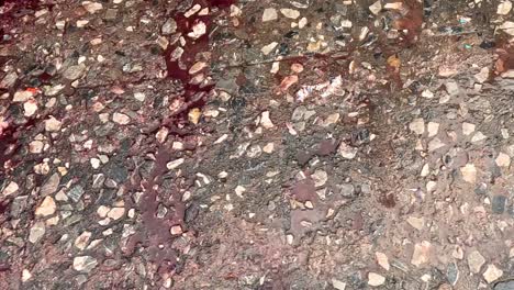 a reddish liquid spreads and flows across a textured, pebbled ground surface.