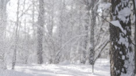 paisaje de invierno durante las nevadas. fondo abstracto de navidad de invierno en súper cámara lenta.