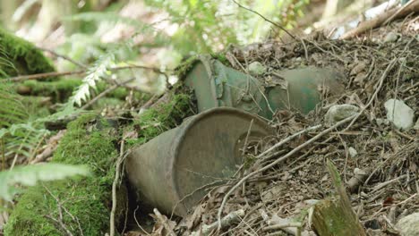 chatarra dejada en el bosque