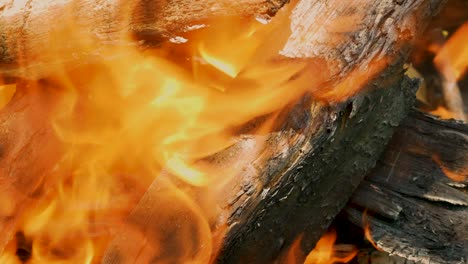 close-up background beautiful flame of fire on wood. slowly burn the chopped wood in the stone fireplace with an orange flame of fire