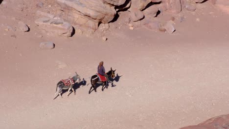 arabian man riding a donkey through red sandy rocky canyon in desert city of petra in jordan, middle east