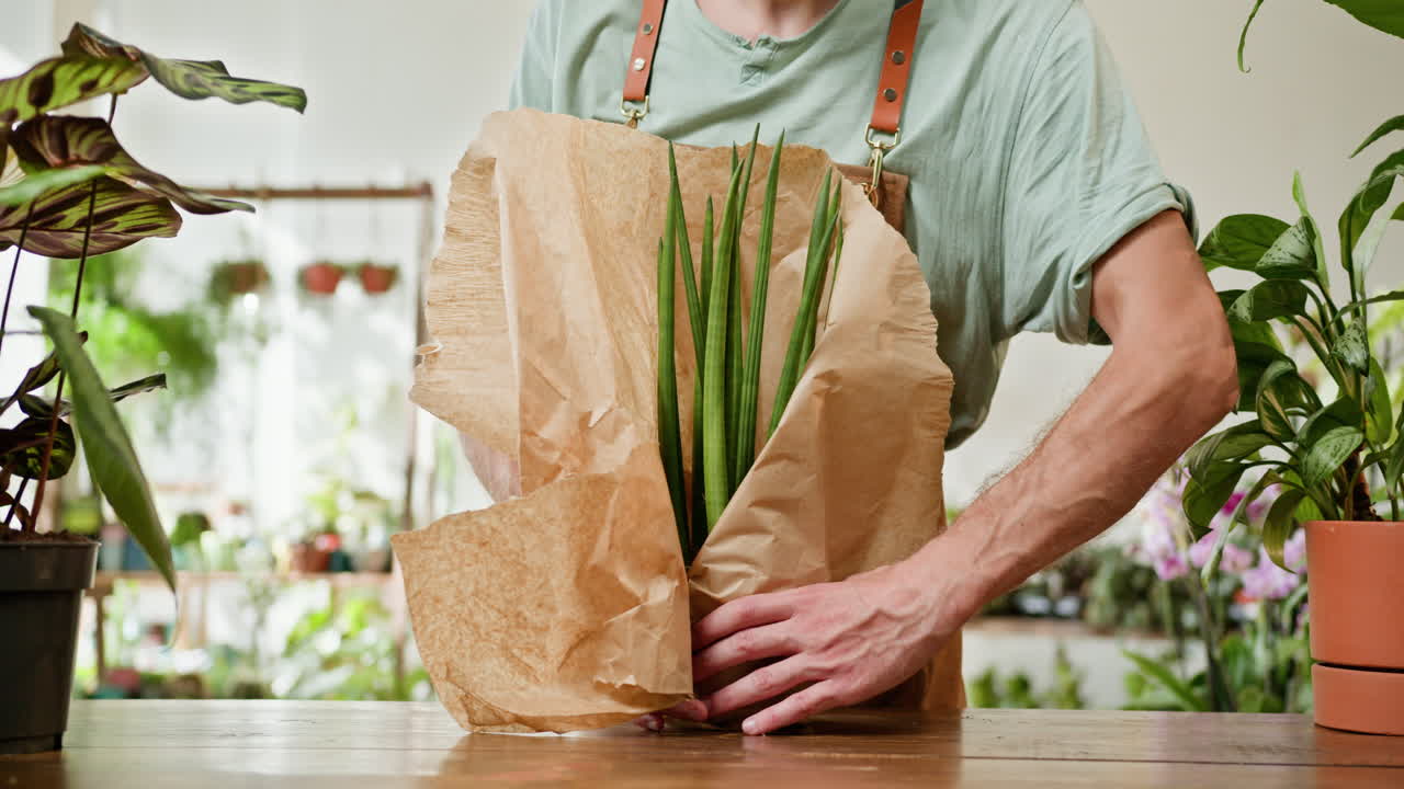 식물 을 감싸고 있는 사람