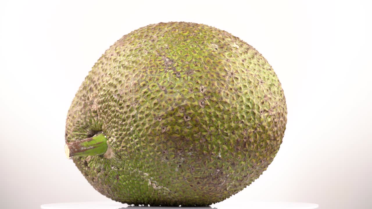jackfruit exótico y jugoso aislado sobre un fondo blanco girando en la mesa giratoria. video de demostración en primer plano