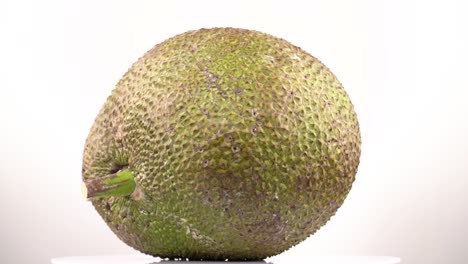 exotic juicy jackfruit isolated on white background rotating on the turntable. close-up demonstration video