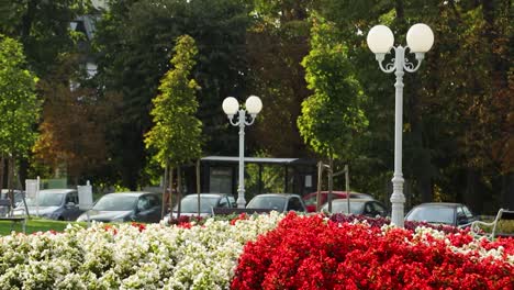 Blumen-In-Einer-Kleinstadt-Vor-Einem-Parkplatz-Im-Europäischen-Stil