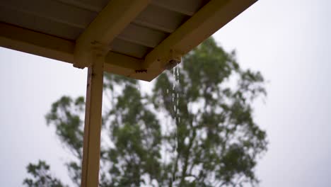 slow motion water falling from gutter-down pipe