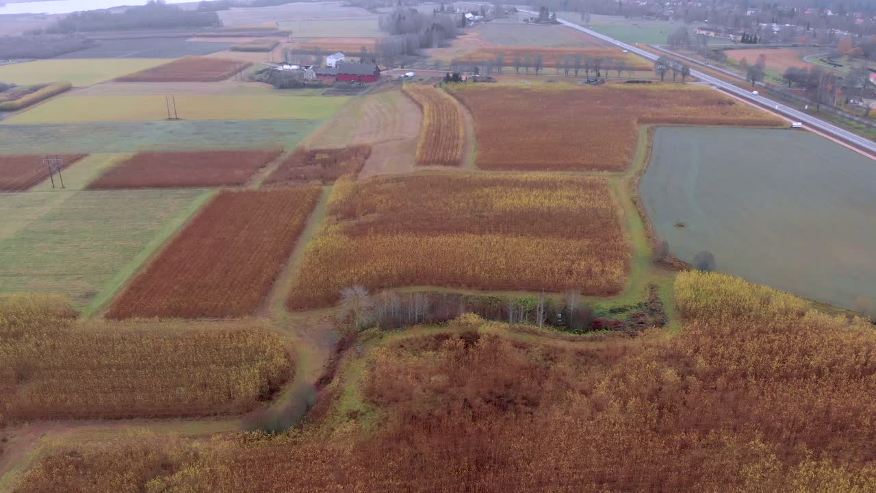 imágenes de drones volando sobre campos de salix, en un día nublado en octubre