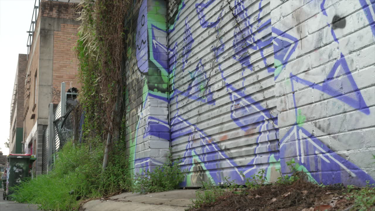 A colourful graffiti'd garage door on an urban residential backstreet, innerwest Sydney, Australia