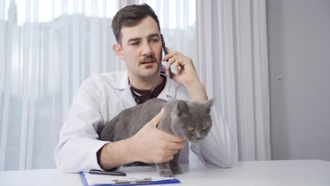 The-vet-is-talking-on-the-phone-with-the-cat's-owner.