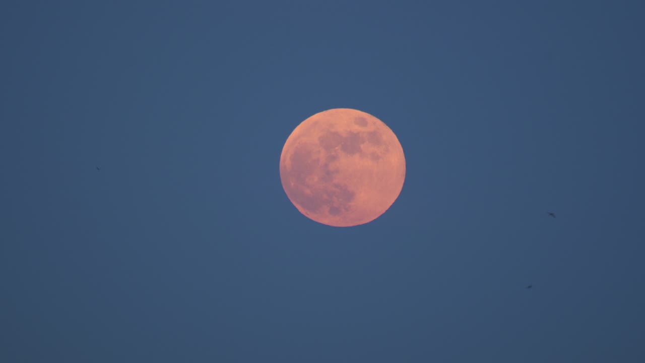 Moonrise