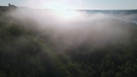 Drohne-Fliegt-über-Bäume-In-Wolken