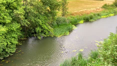 Hermoso-Río-Bajo-Un-Puente-De-Metal-Con-Campos-Verdes-Y-árboles-Forestales-En-Chippenham,-Inglaterra,-Toma-De-4k