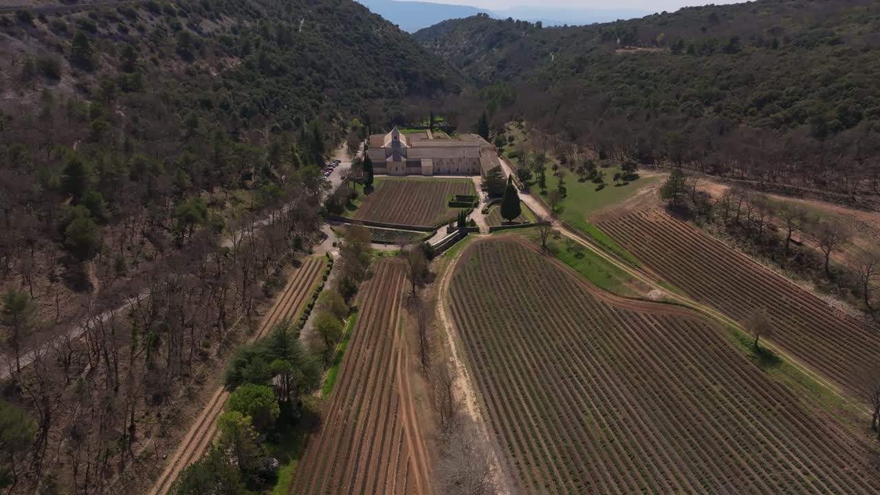 Veduta aerea di filari di lavanda potata presso l'Abbazia di Sénanque, Francia.