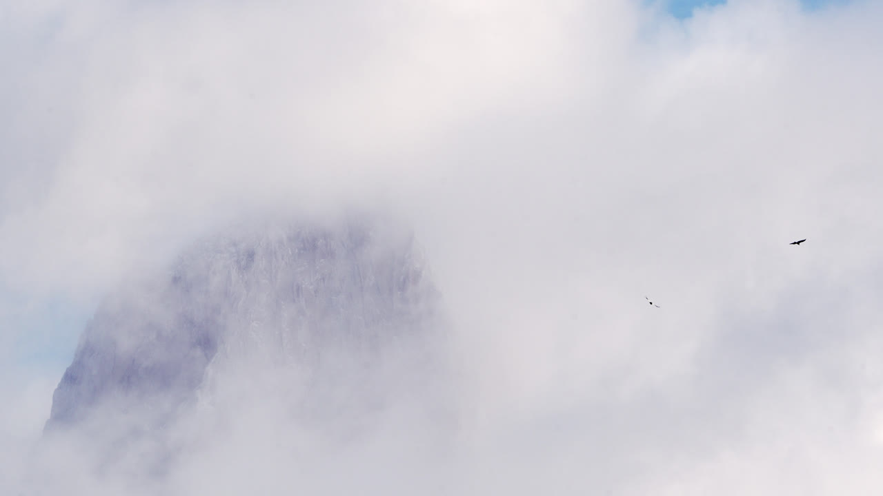 Vue majestueuse du Mont Fitz Roy dans les Andes de Patagonie avec deux condors planant au ralenti