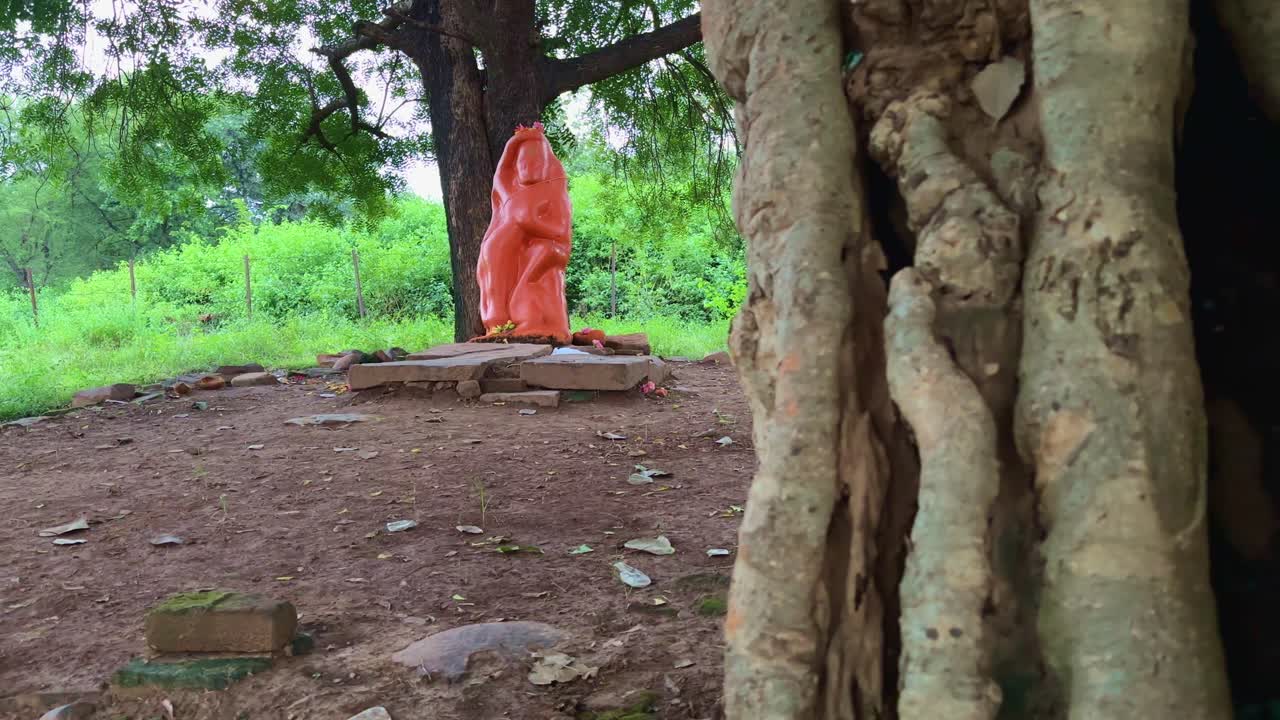 A revealing tracking shot showing an orange Hanuman idol gradually emerging from behind the thick roots of an ancient tree, blending sacred devotion with the historical calm of Bharhut