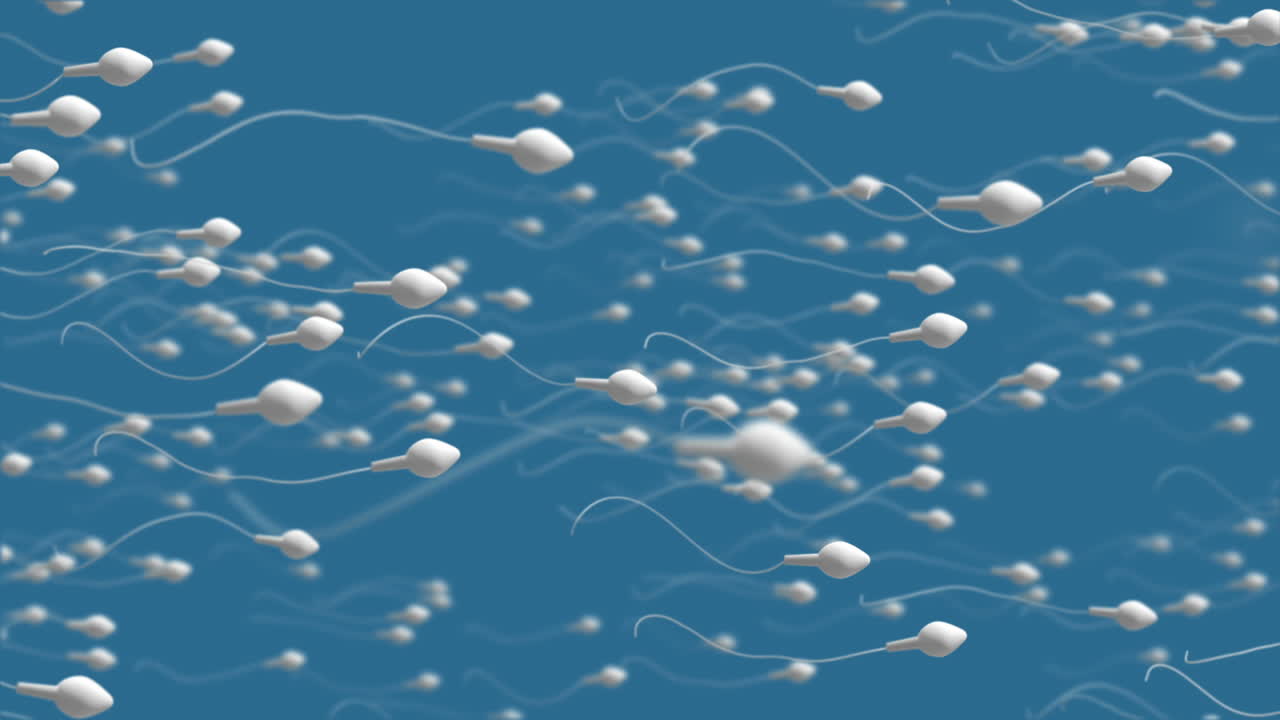 un óvulo en movimiento siendo fertilizado por espermatozoides