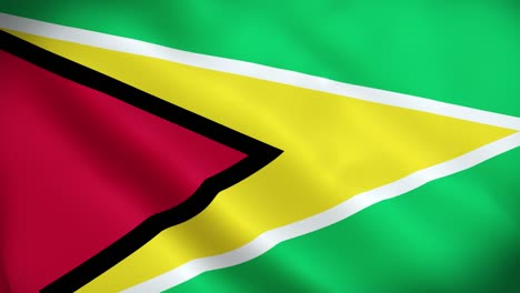 4k national animated sign of guyana, animated guyana flag, guyana flag waving, the national flag of guyana animated.